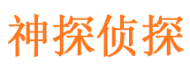 陈仓市侦探公司